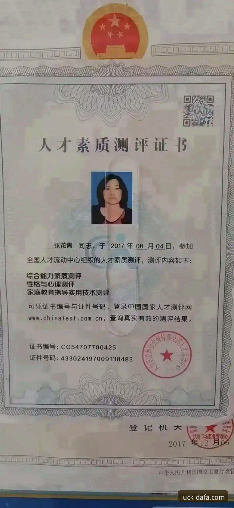 资深技术评测员分享：2026大发彩票官网最新地址使用心得与平台深度解析